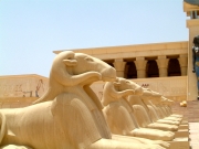 studio de cenima a ouarzazate